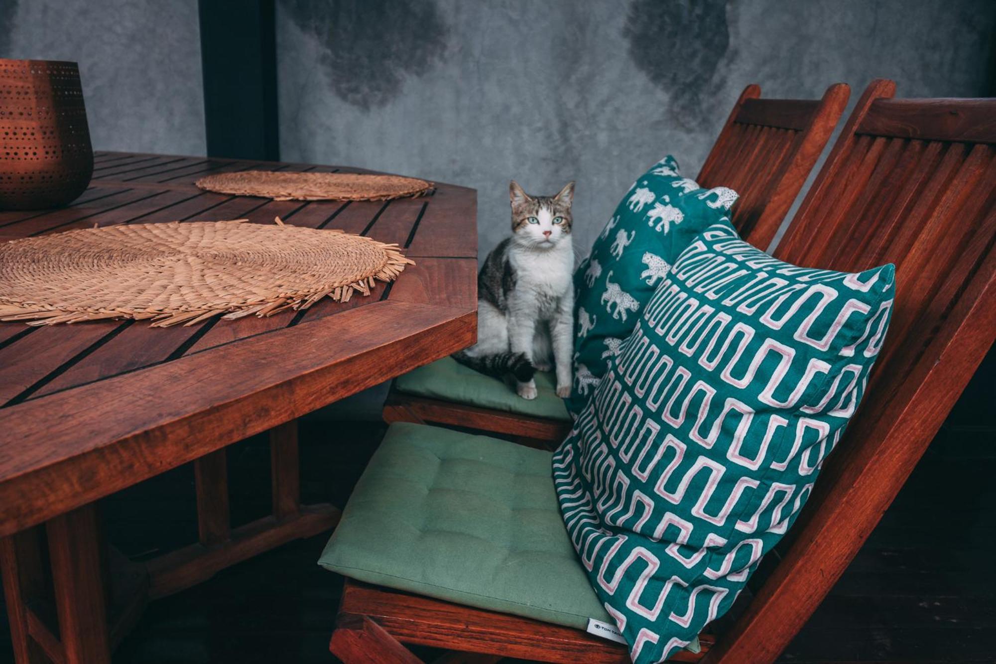 Hotel Yves Marrakech Marrakesz Zewnętrze zdjęcie